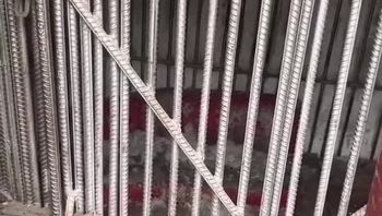 缅甸缅北白应苍电诈园区的水牢和铁窗视频