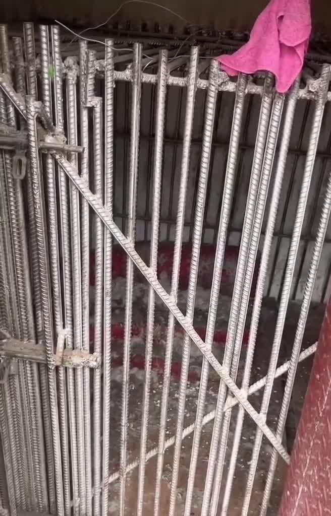 缅甸缅北白应苍电诈园区的水牢和铁窗视频