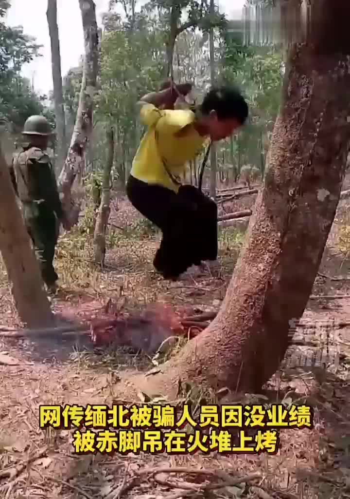 网传 缅北被骗 男猪仔 没业绩，就吊起来烤 #诈骗 #猪仔 #烧烤