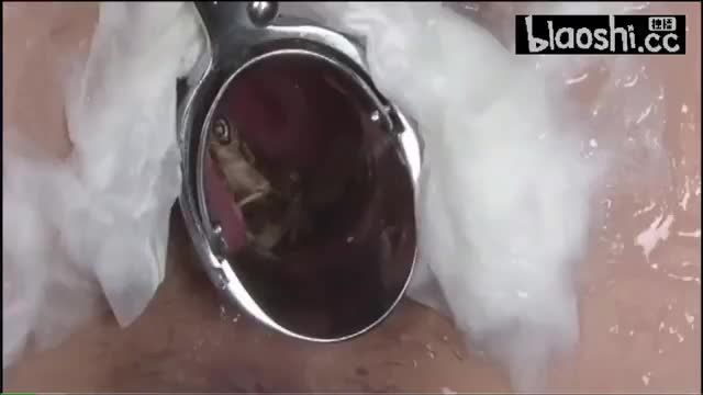 良家妇女惨遭被变态用蛐蛐折磨放入阴道啃食逼肉虫交视频