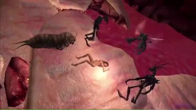 猎奇动漫虫交视频少妇被蜜蜂操穴蠕虫钻入肉穴