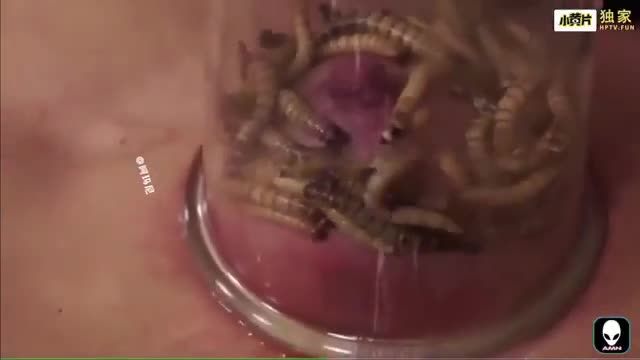 稀缺虫交身材骨感金发美少妇贫乳被加入大量白蛆拔罐虐乳视频