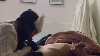 大学生男同志花250块钱嫖娼嫖到极品TS伪娘疯狂舔鸡巴深喉吃大屌口爆吞精视频