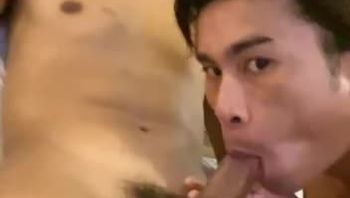 越南痞子男同志疯狂舔舐兄弟的粗壮大肉棒深喉吃大屌口爆吞精视频