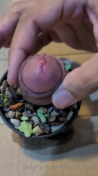 种鸡巴看过吗？痞子男同志居家自拍骚浪自慰疯狂撸鸡巴贱态尽显gv视频