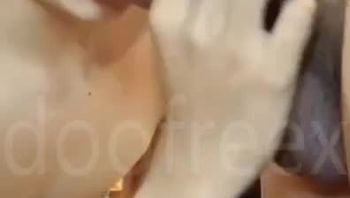 广西柳州精神小伙男同志骚浪自慰后猛吃亲弟弟的大鸡巴口爆吞精gv视频