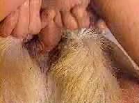 欧美人兽变态男子狂顶兽穴边操边销魂骚叫视频